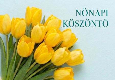 Mezőkövesd hírei